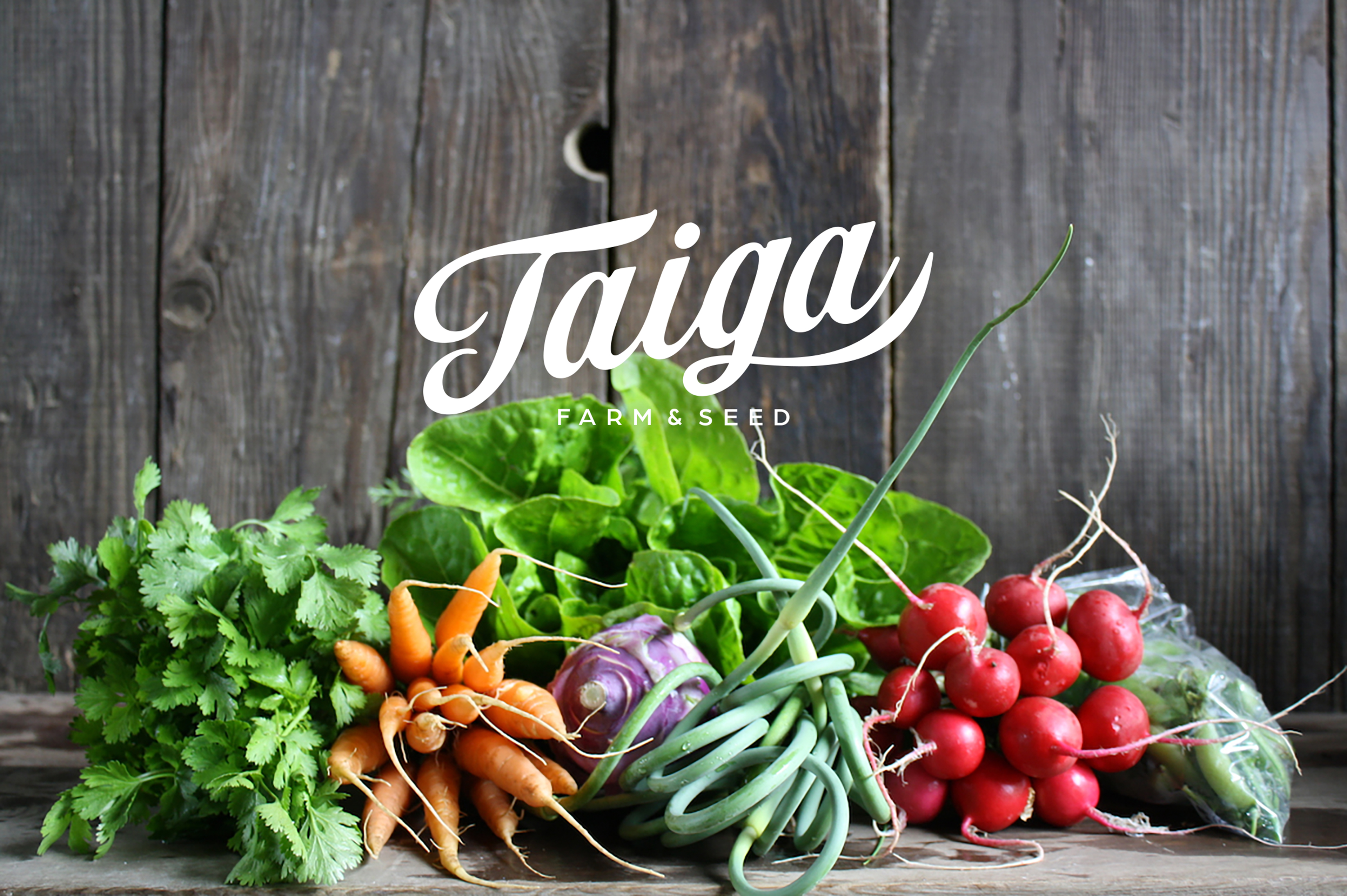 Taiga Farm and Seed - Seed Company Branding | Taiga Farm and Seed